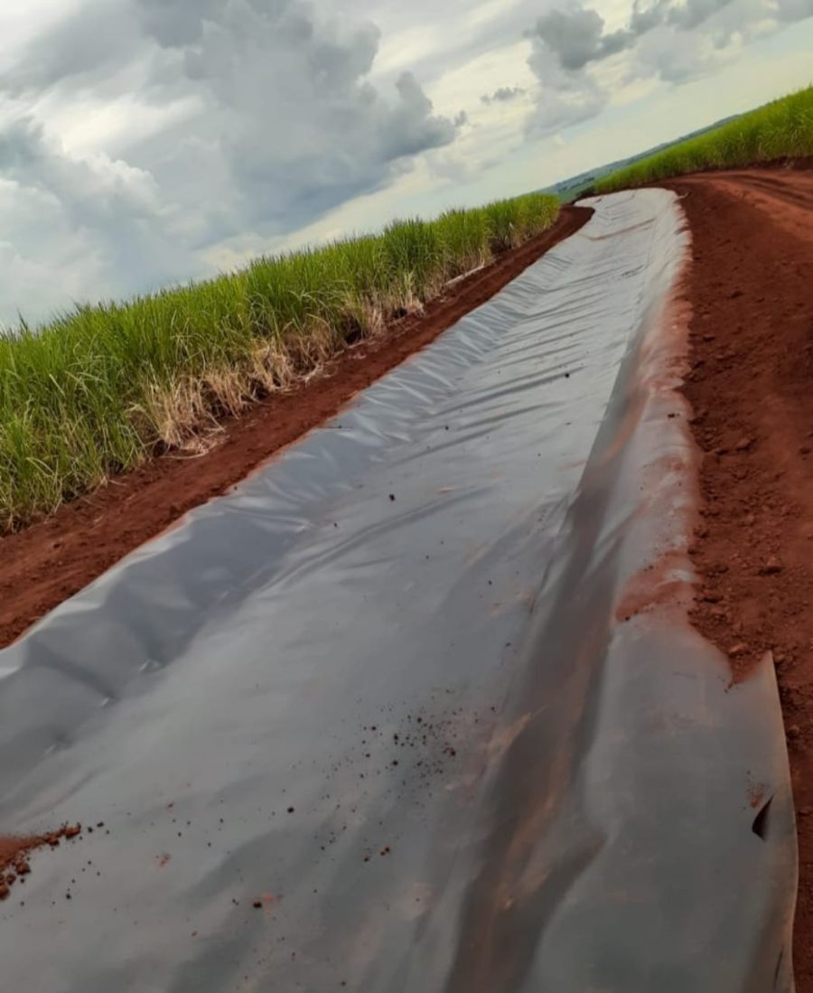 Canal Usina Alta Mogiana – 2021 – São Joaquim da Barra – SP — foto 4