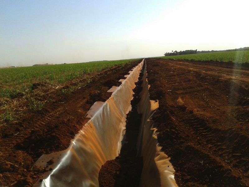 Canal de Vinhaça – Biosev — foto 2