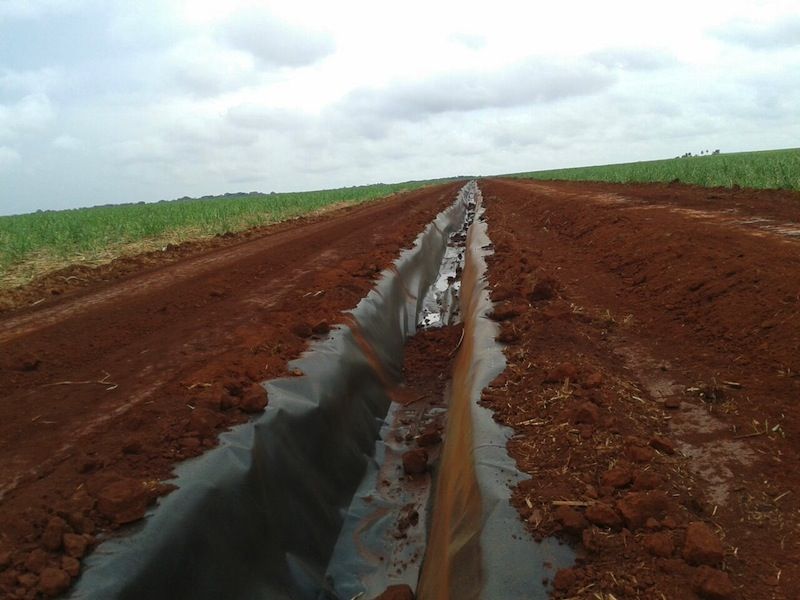 Canal de Vinhaça – Biosev — foto 3