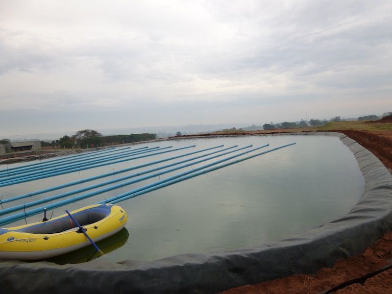 Reservatórios de Irrigação – Holambra – SP — foto 4