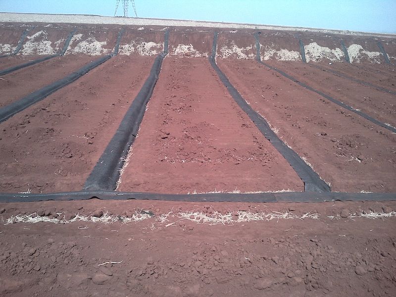 Reservatórios de Resíduos – Usina Abengoa – Pirassununga – SP — foto 4